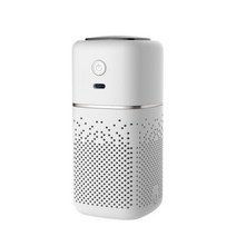 Xiaomi-Youpin 자동차 공기 청정기 새로운 휴대용 미니 클리너 음이온 포름알데히드 냄새 제거 가정용 Badeoom, White-USB Plug in