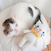 뜨개인형고양이 알뜰하게 구매할 수 있는 가격비교 상품 리스트