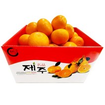제주 천혜향 -가정용 벌크- 10kg (대) 40~47과, 1개