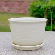 즙이 많은 화분 환경 보호 농축 안티 세라믹 발코니 화분 녹색 딜 대형 플라스틱 실내 및 실외 4PCS, 米色【矮款】送托盘, 特小2个装【口径15cm】送肥