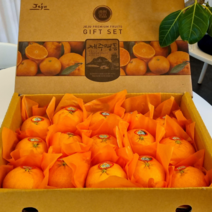 제주 명품 레드향 당도14brix이상!, 5kg(소과/29~36과)