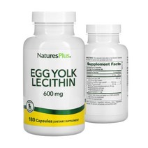 난유 캡슐 Egg Lecithin 난황레시틴 600mg 90캡슐, 90정