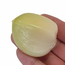 해남 코끼리마늘 (중) 1kg 종자용 황토밭 토종 왕마늘, 단품