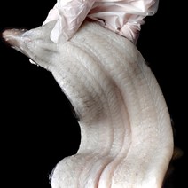 정성백 프리미엄 자포니카 손질 민물 장어 구이용 1kg, 2kg(손질후1.2kg), 1개