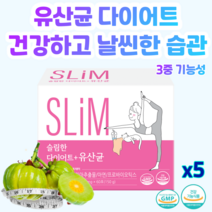 락토테미 슬림한 유산균 다이어트 장건강 면역기능 프로바이오틱스, 5개