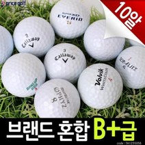 브랜드 혼합 B+급 로스트볼 10알_C001, 기본 : 상세페이지 참조
