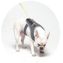 코지힙 네오펫하네스 부드러운 순면원단 강아지 고양이 가슴줄 소형견목줄대신착용, 마망그레이