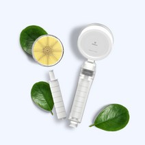 이온폴리스 V+ SF코팅 비타민 샤워기 헤드필터1개증정 87262345EA, 옵션: 1, 옵션: 본상품선택