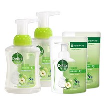 데톨 포밍 핸드워시 애플블로썸 본품 250ml + 리필 200ml, 2개