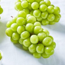 [감동][세원팜스]고당도 샤인머스캣 1.5kg 2-3수_선물세트, 상세 설명 참조