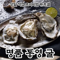통영 굴 생굴 반각굴 하프쉘 하프셸, 2단(60미내외)