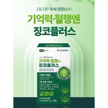 코오롱제약 [코오롱제약]기억력 혈행엔 징코플러스, 1000개, 30정(1개월) x 2개