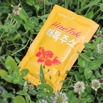 진심담음 ABC 클렌즈 주스 100ml 30포, 해톡주스 100ml, 30팩