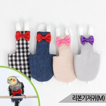 앵무새 리본 기저귀(M) 중소형새 배변훈련 플라잇수트