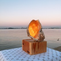 [감성선물] 소라 스피커 무드등, 각인없음, 각인없음, S