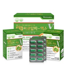 광동 써큐알파-엑스 4개월분 은행잎 추출물 영양제, 120정, 1개