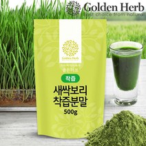 골든허브 새싹보리 착즙 분말 가루 어린 보리새싹분말 20배 고농축, 500g, 3개