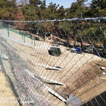 노루망 축구장 그물망 메쉬망 닭장 해태망 고라니망, 10cm(폭 3m/ 길이 5m) 60가닥