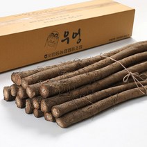 더조은푸드 [서안동농협] 유명산지 우엉 알뜰(반찬용) 2kg, 1개