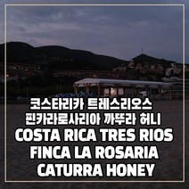 (커피생두) 70 코스타리카 트레스리오스 핀카라로사리아 까뚜라 허니 500g, 1개