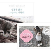 (전2권) 인생은 짧고 고양이는 귀엽지 + 365일 고양이 일력