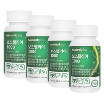 보스웰리아65 1000mg 연골 N아세틸글루코사민 90정4통 성인 부모님 40대 50대 60대 고함량 다리아플때