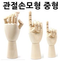 관절손모형 중형 조형물 손골격모형 구체관절인형, 관절손모형 중형 조형물 손골격모형 구체관