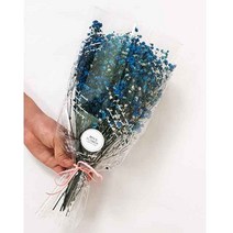 수앤로즈플라워 프리저브드플라워 안개꽃 드라이플라워 안개꽃다발 소 10g 30g, 30g 블루