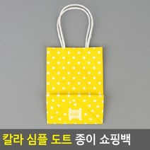 칼라 선물케이스 심플 도트 쇼핑백(소) 종이 종이백