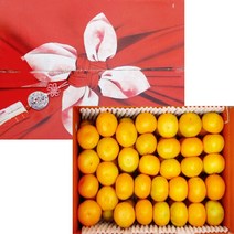 산지직송 제주 고당도 하우스 감귤 선물용 로열과, 1개, 3.5kg
