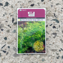 딜/커몬/딜 허브종자 250립 내외 1봉