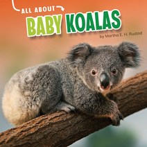All about Baby Koalas Hardcover, Pebble Books, English, 9781663907912