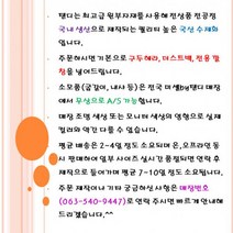 탠디 (추천상품)미셸 탠디 소프트 레더 천연가죽 로퍼 3210g5s3