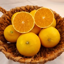 받는분을 위한 특별한 제주직송 황금향!!! 당일수확 황금향 선물세트 제주특산물선물 3kg 5kg, 5kg내외(20-26과내외)