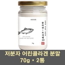 초저분자콜라겐 피쉬콜라겐 분말 저분자 펩타이드 어린콜라겐 파우더 500달톤 어류 생선비늘 껍질 먹는 GPH 이너 뷰티, 2통, 70g