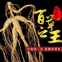 산삼 일류 제품 선물 장백산 인삼 담금주 야생 건조, 빨간색, 20g