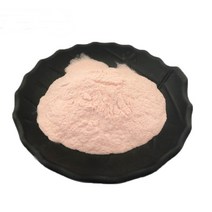 27가지과일야채혼합농축분말 100g 샘플, 단품, 단품