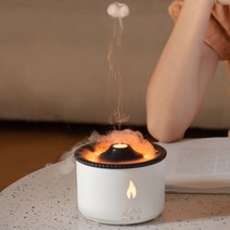 감성 불멍 가습기