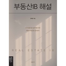 부동산IB 해설 : 투자금융기관 실무자를 위한 부동산개발금융 길라잡이, 권태준 저, 교문사