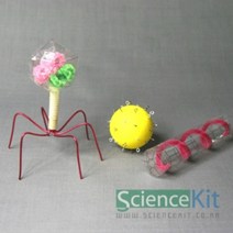 생명과학실험키트 바이러스만들기 방과후학교 연계수업