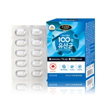 에버그린 데일리플랜 100억 유산균 500mg x 60캡슐, 데일리100억 가세리 유산균(2개월)