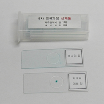 영구 프레파라트/자주달개비 개나리잎