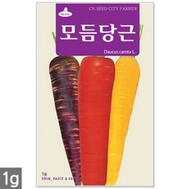 흰강낭콩 씨앗 30g - 네이비빈 강낭콩씨앗 강낭콩씨 콩씨앗 콩씨 씨 강남콩 주말농장 텃밭, 03_모듬당근(1g)