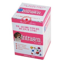 강아지 종합비타민 칼슘 장건강 인트라젠정 200정72394EA 애견장영양제, 본상품선택