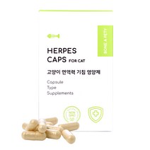 본아페티 고양이 기침 기관지 허피스 영양제 면역력 감기 허피스캡스 60정
