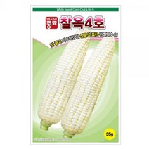 흰찰옥수수(35g)맛좋고 다수확성의 상품성 좋은
