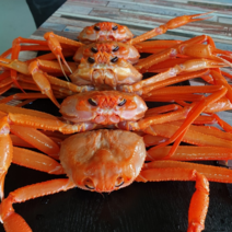 30년경력 선주직송 구룡포 연지홍게 3kg 10-12마리 / 당일조업 자숙(찜) 발송, 실속형 3kg 10-12마리 / 다리수율70%