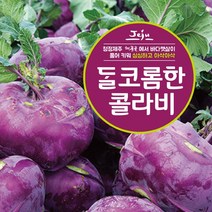 제주산 달코롬한 콜라비, 5kg