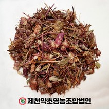 국산 꿀방망이 하고초 300g 제천약초영농조합 제천약초시장, 1, 300
