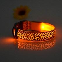 가정용nas 나스 nas 외장 하드 서버 구축 새로운 애완 동물 용품 LED 플래시 개 벨트 발견 도로 밤 밝은 co, 09 colorful_03 48-60X2.5CM